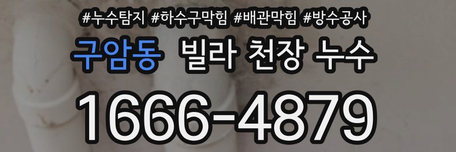 구암동 빌라 천장 누수