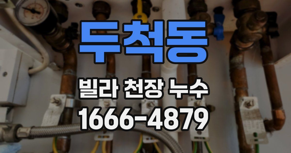 두척동 빌라 천장 누수