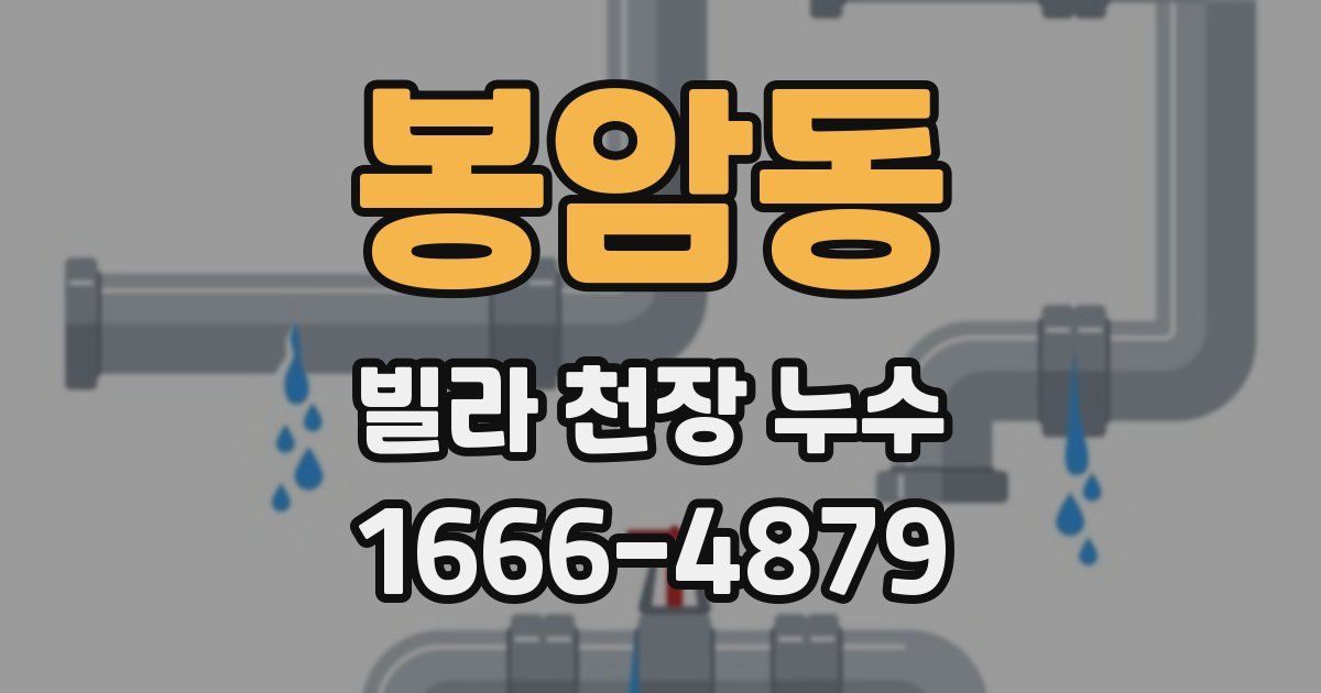 봉암동 빌라 천장 누수