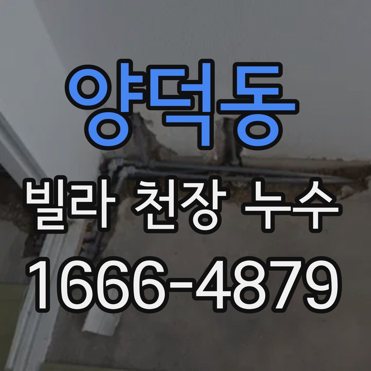 양덕동 빌라 천장 누수