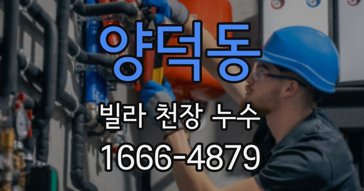 양덕동 빌라 천장 누수