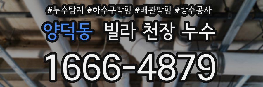 양덕동 빌라 천장 누수