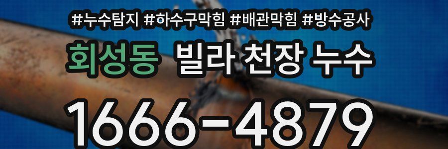 회성동 빌라 천장 누수