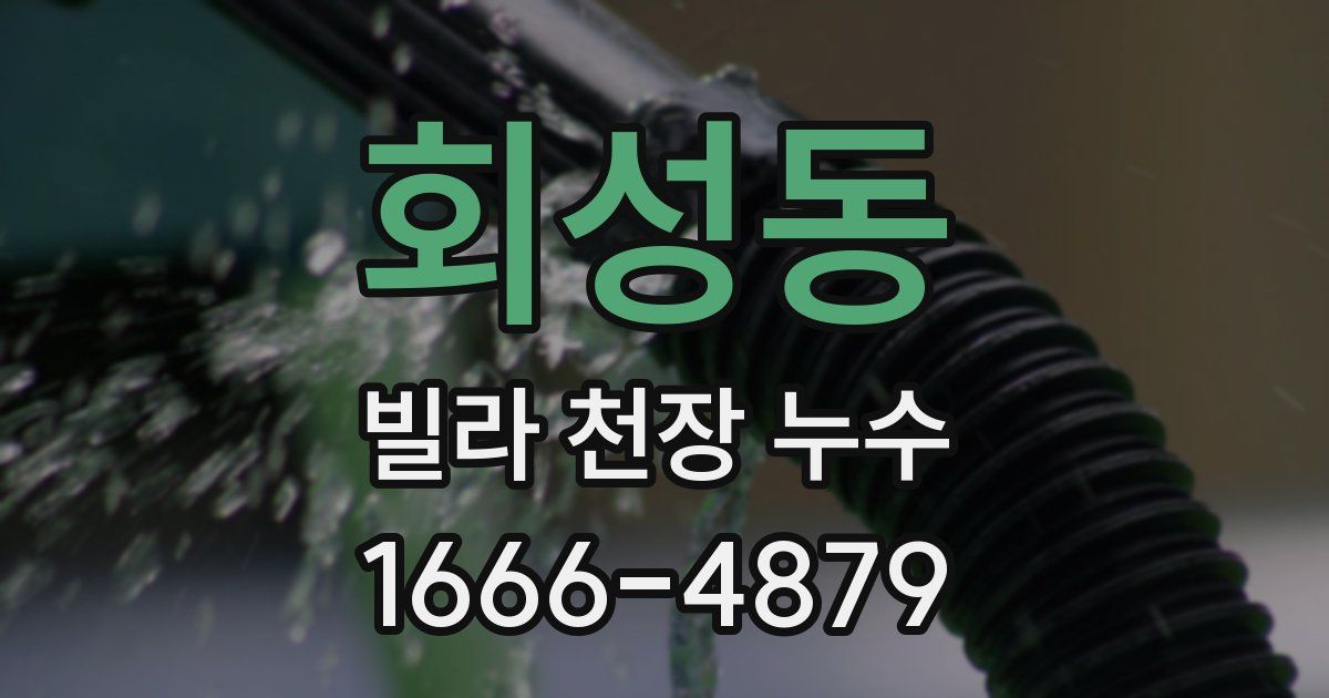 회성동 빌라 천장 누수