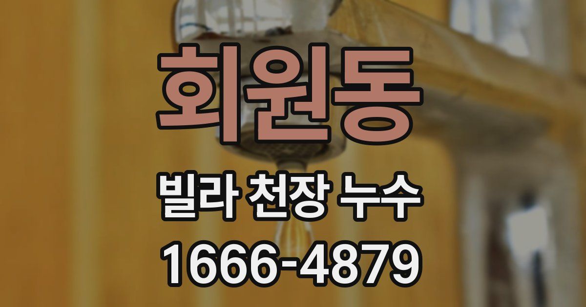 회원동 빌라 천장 누수