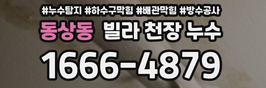 동상동 빌라 천장 누수