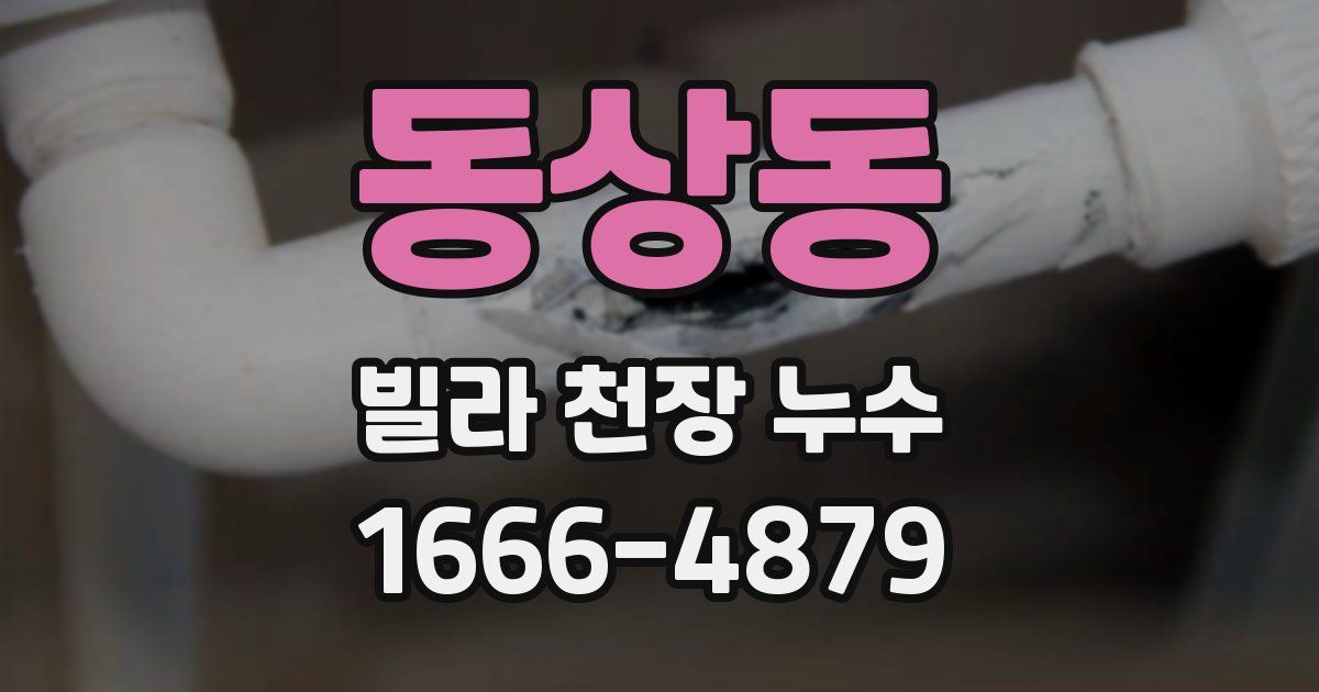 동상동 빌라 천장 누수