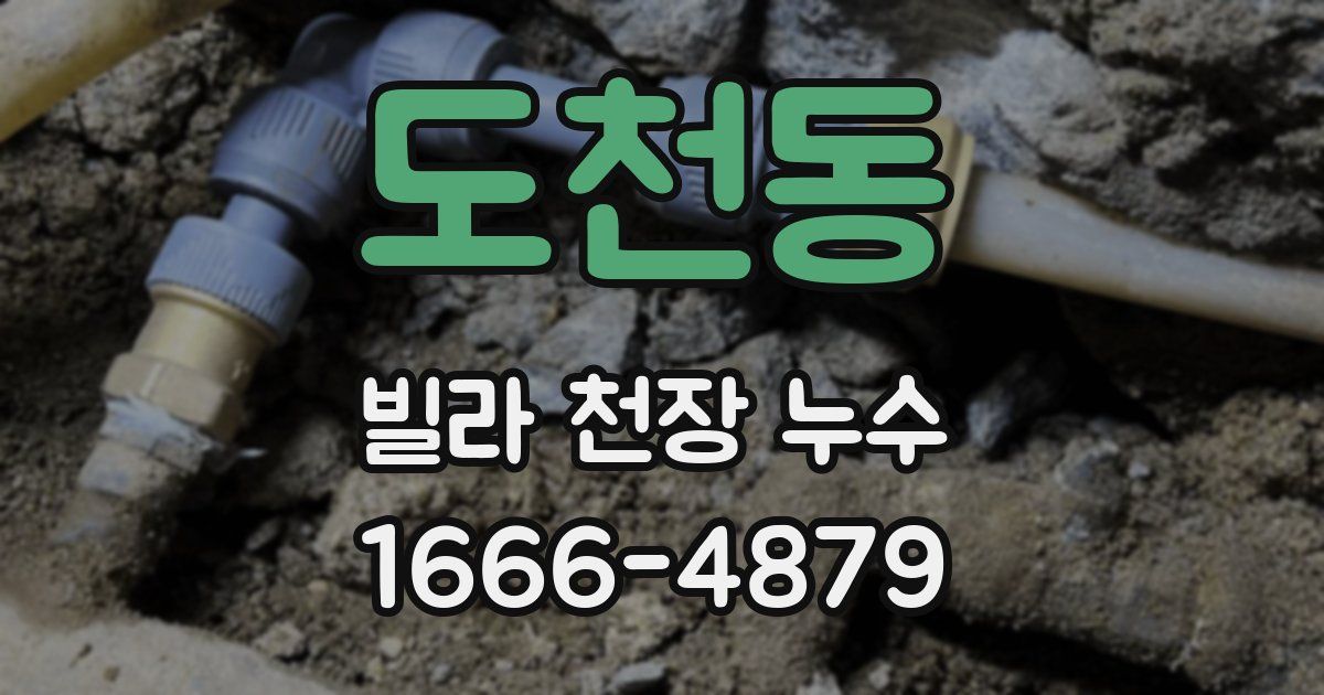 도천동 빌라 천장 누수