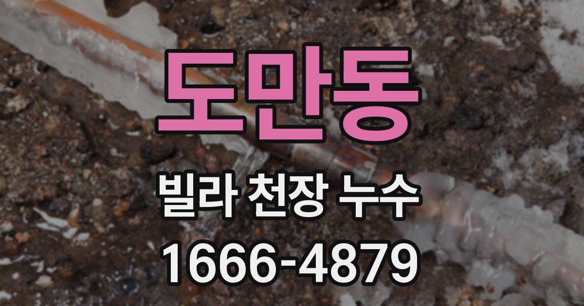 도만동 빌라 천장 누수
