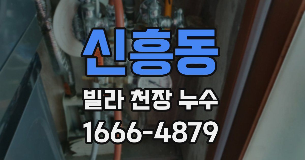 신흥동 빌라 천장 누수