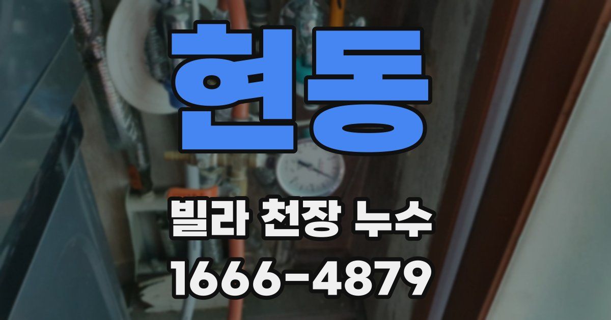 현동 빌라 천장 누수