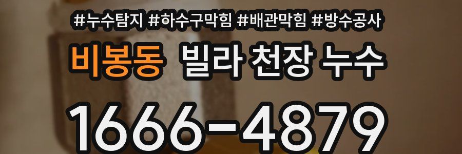 비봉동 빌라 천장 누수