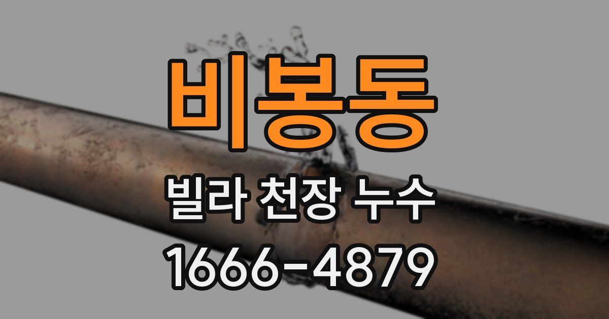 비봉동 빌라 천장 누수