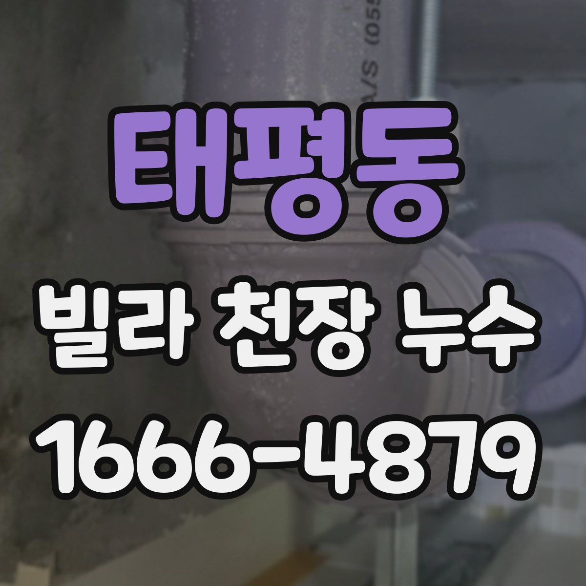 태평동 빌라 천장 누수