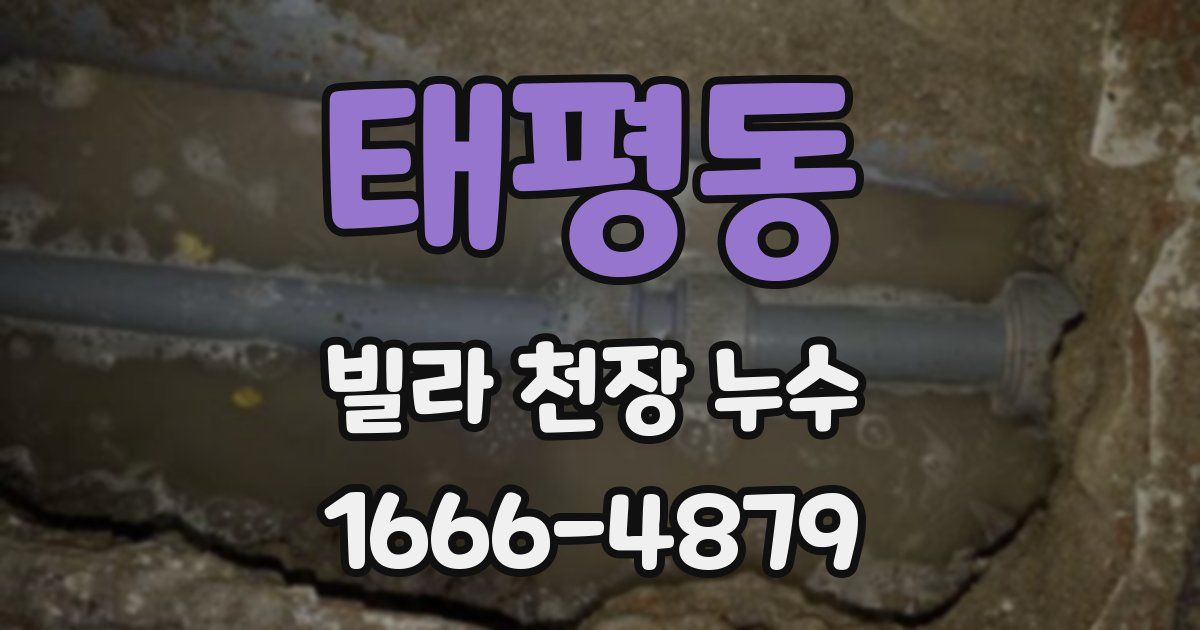 태평동 빌라 천장 누수