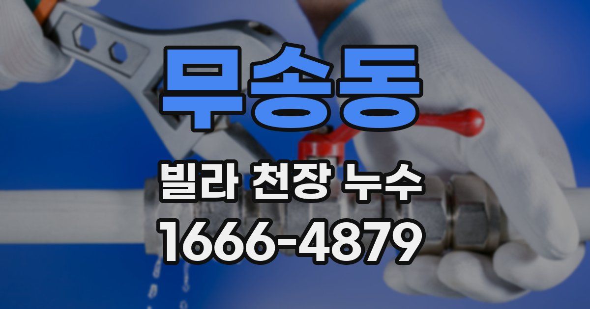 무송동 빌라 천장 누수
