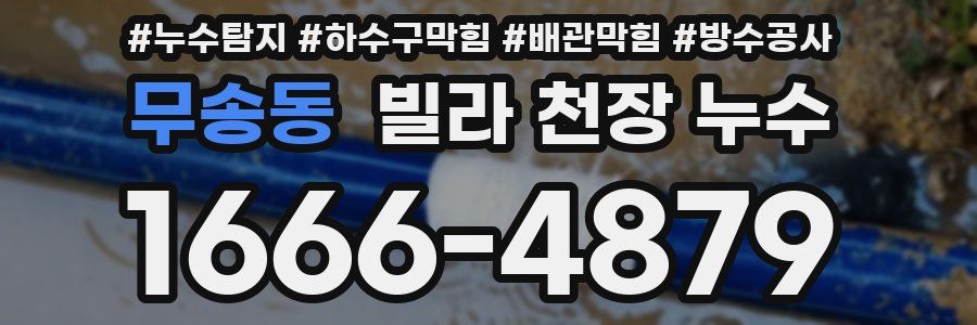 무송동 빌라 천장 누수