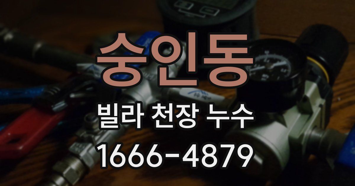숭인동 빌라 천장 누수