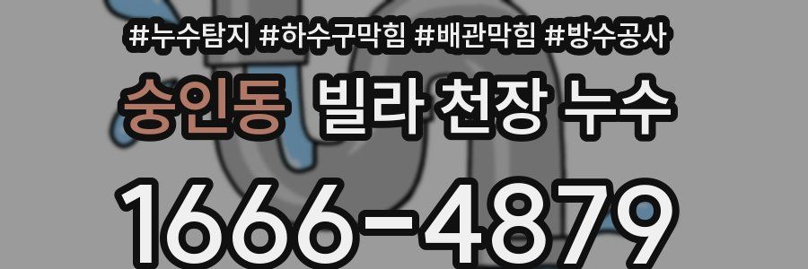 숭인동 빌라 천장 누수