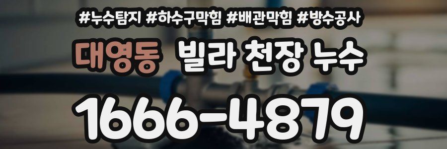 대영동 빌라 천장 누수
