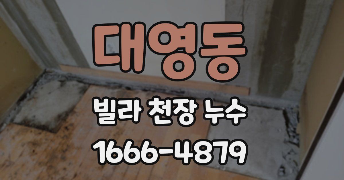 대영동 빌라 천장 누수