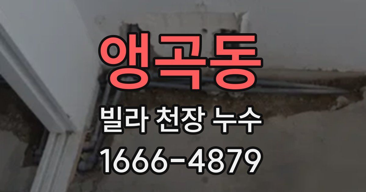 앵곡동 빌라 천장 누수