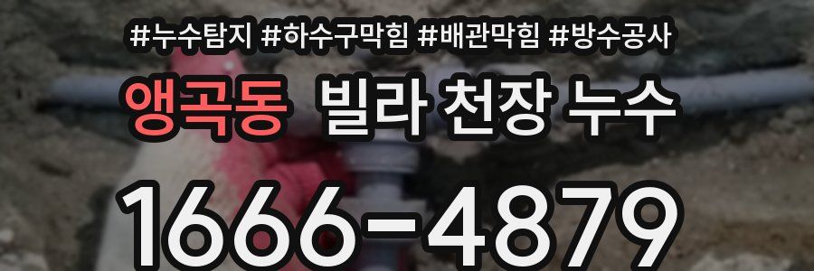앵곡동 빌라 천장 누수