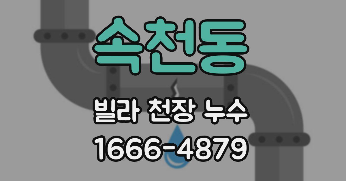 속천동 빌라 천장 누수