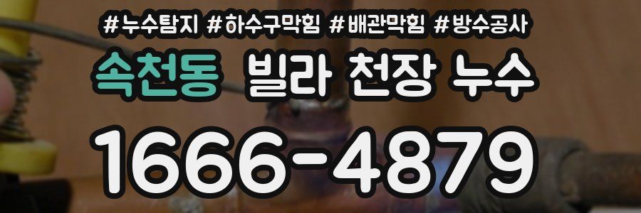 속천동 빌라 천장 누수
