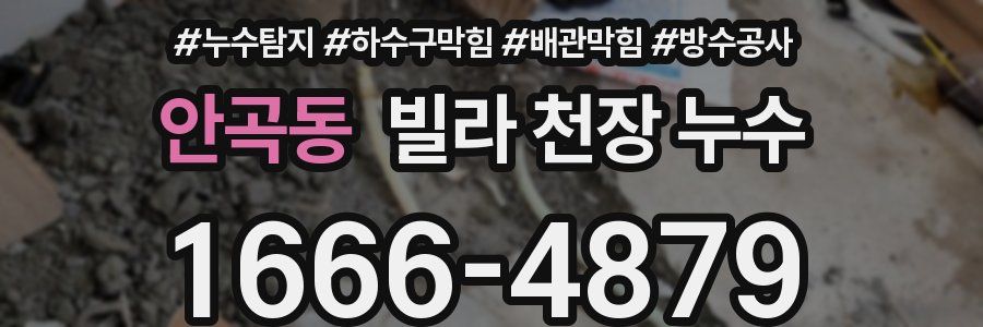 안곡동 빌라 천장 누수
