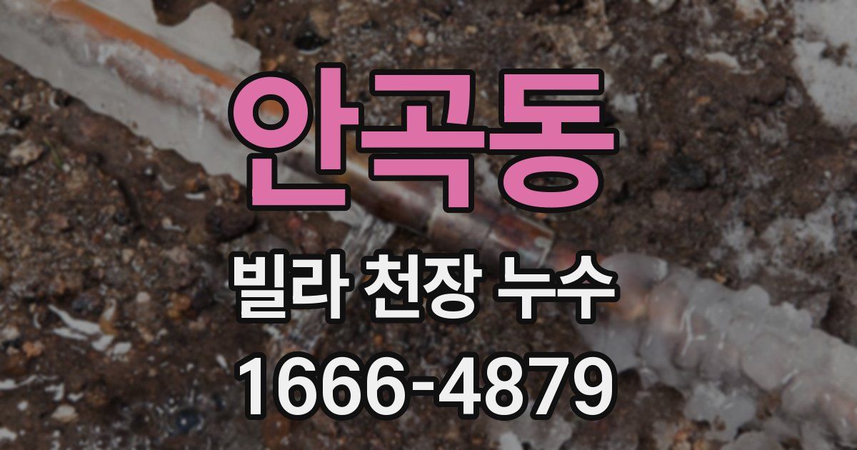 안곡동 빌라 천장 누수