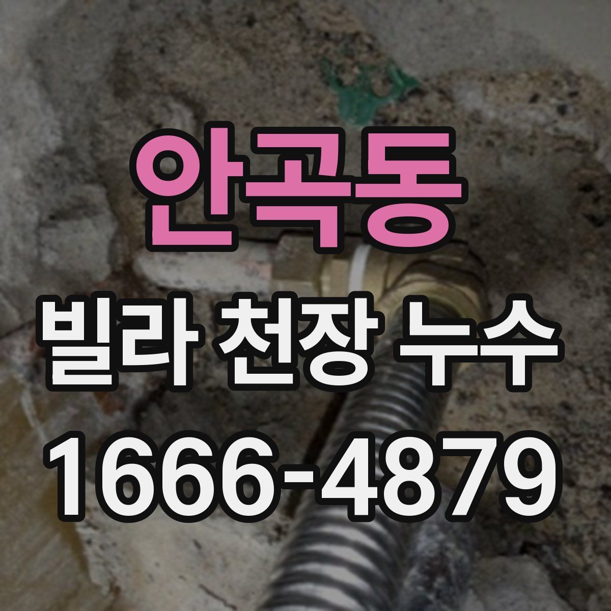 안곡동 빌라 천장 누수
