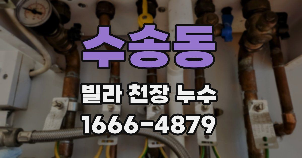 수송동 빌라 천장 누수