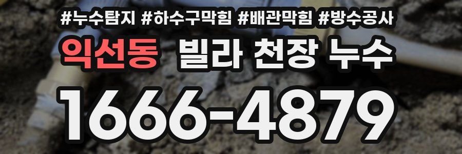 익선동 빌라 천장 누수