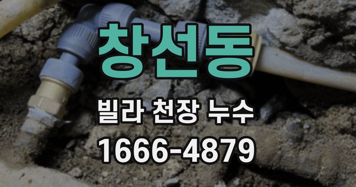 창선동 빌라 천장 누수