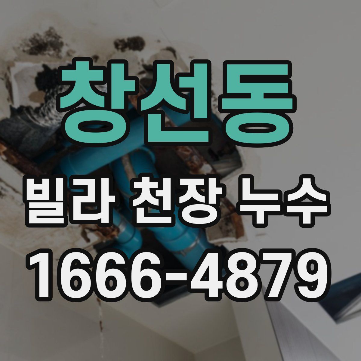 창선동 빌라 천장 누수