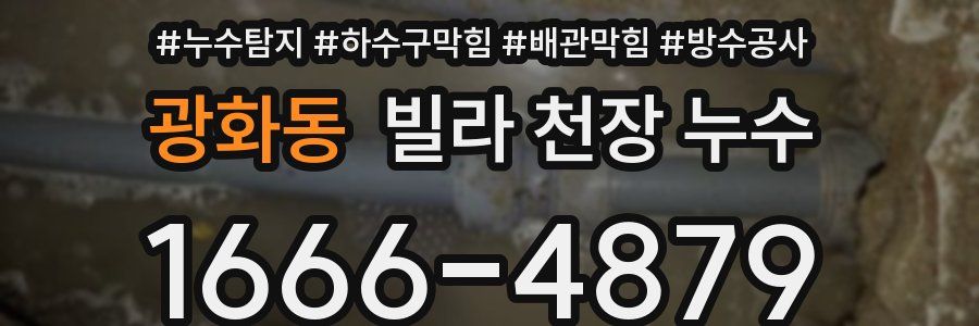 광화동 빌라 천장 누수