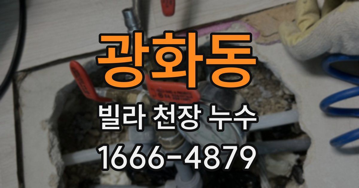 광화동 빌라 천장 누수