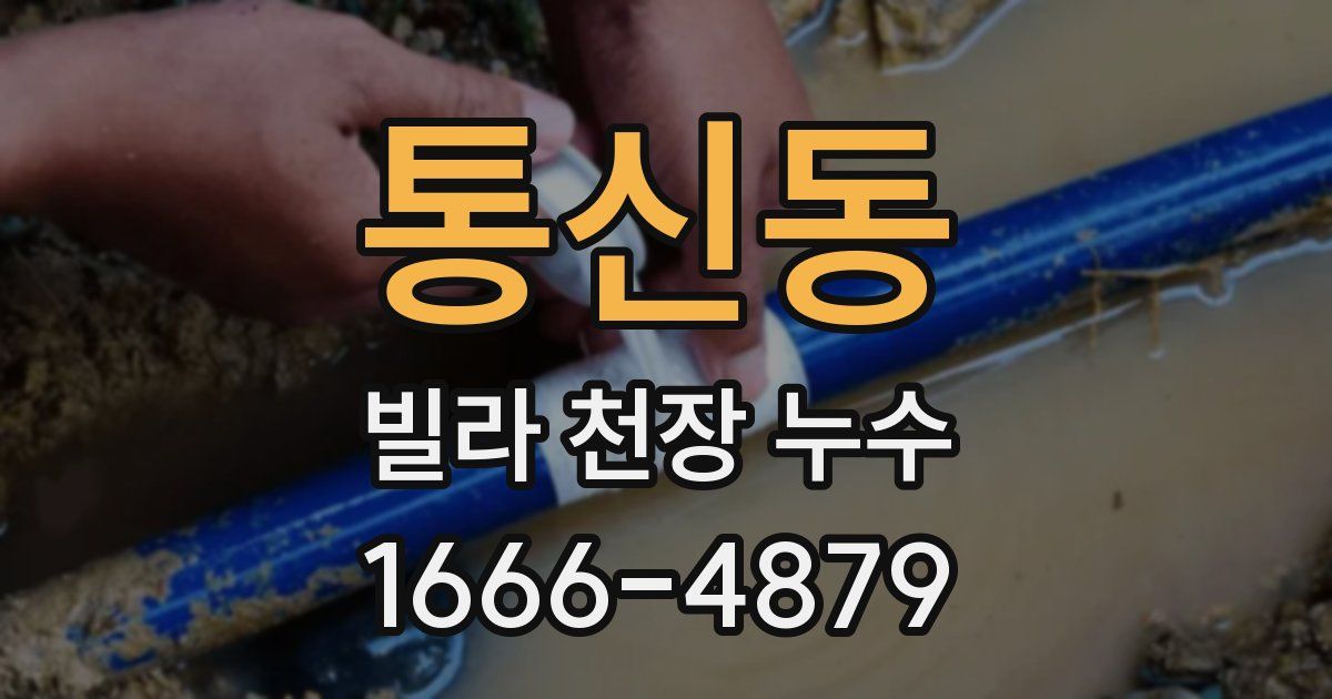 통신동 빌라 천장 누수