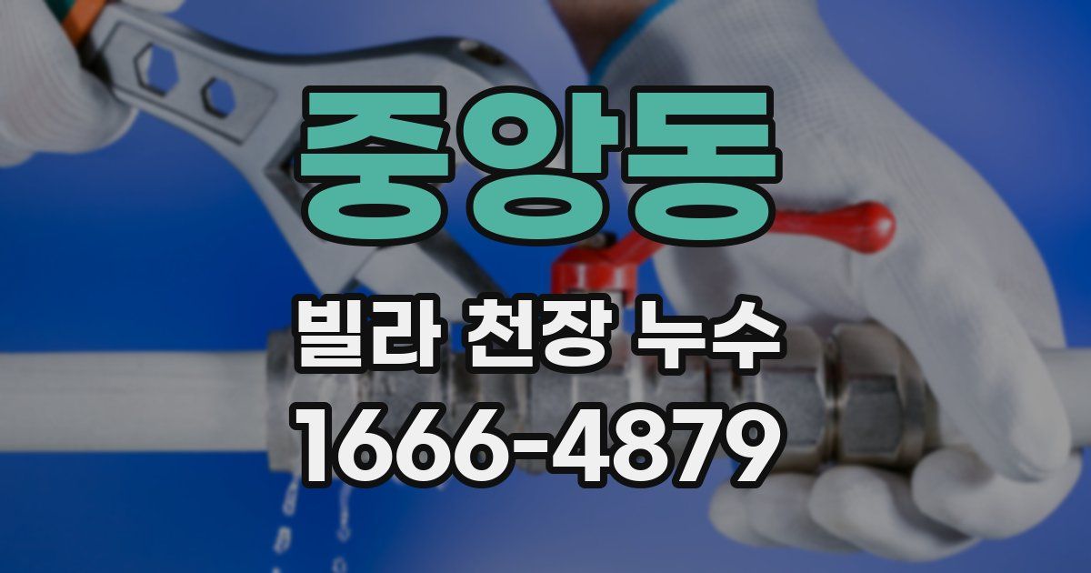 중앙동 빌라 천장 누수