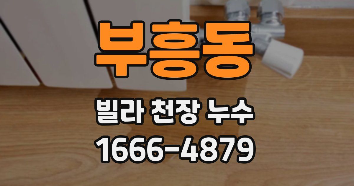 부흥동 빌라 천장 누수