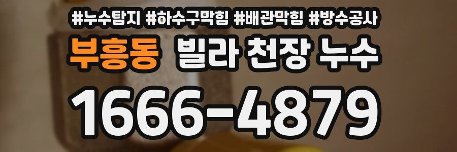 부흥동 빌라 천장 누수