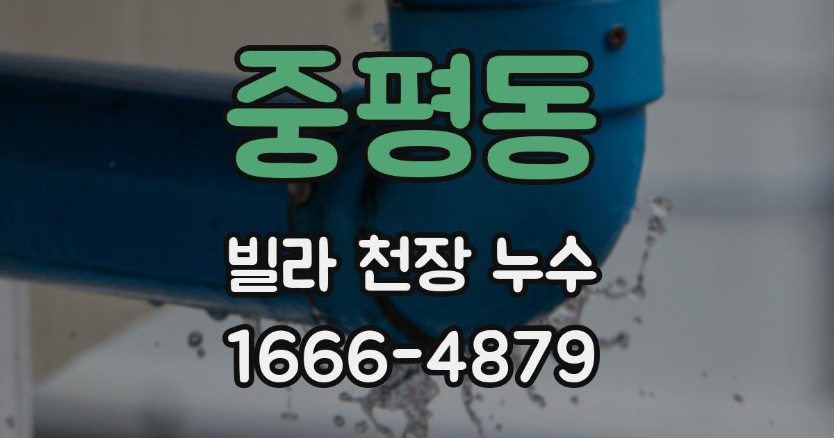 중평동 빌라 천장 누수