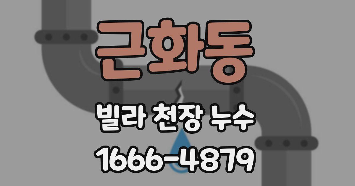근화동 빌라 천장 누수