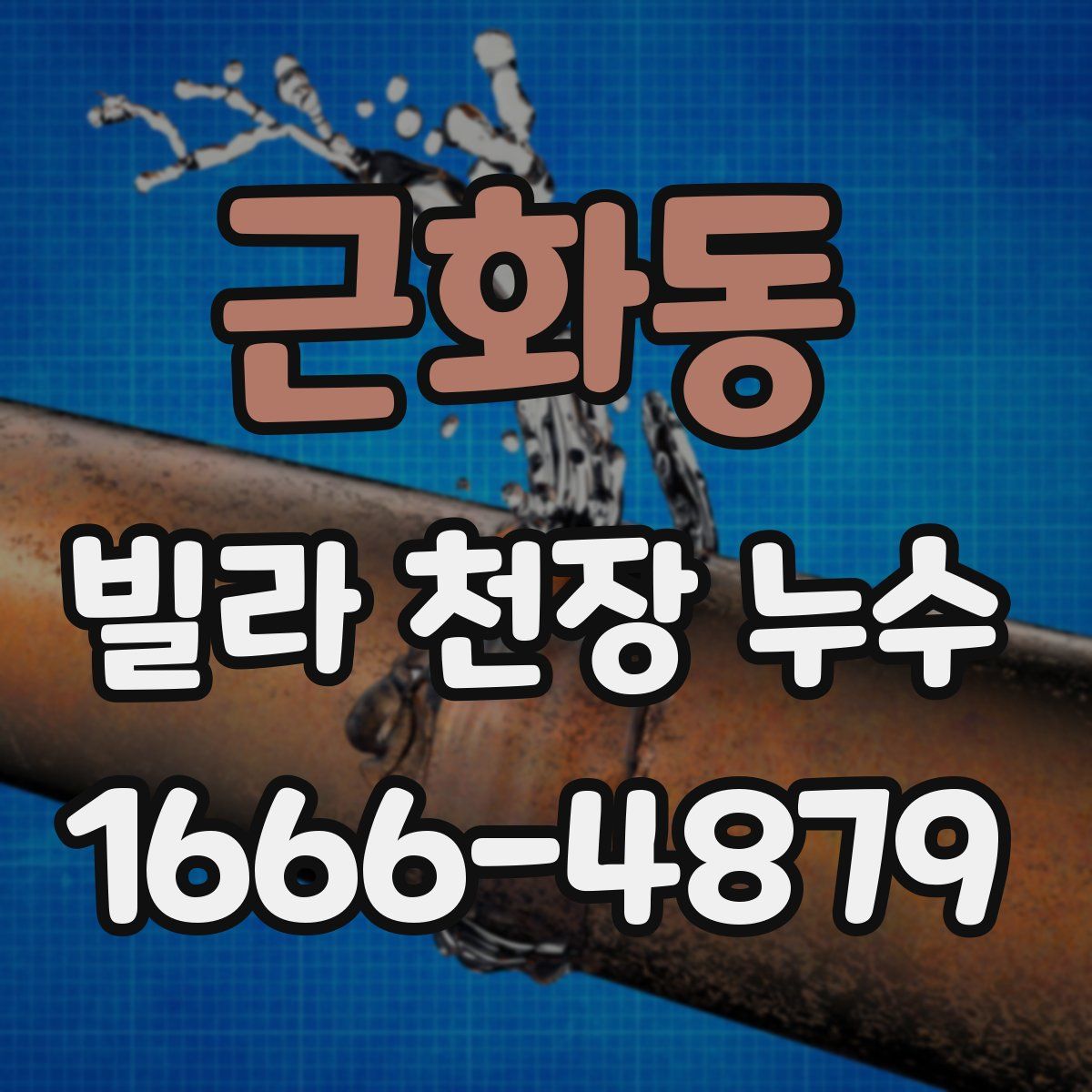 근화동 빌라 천장 누수