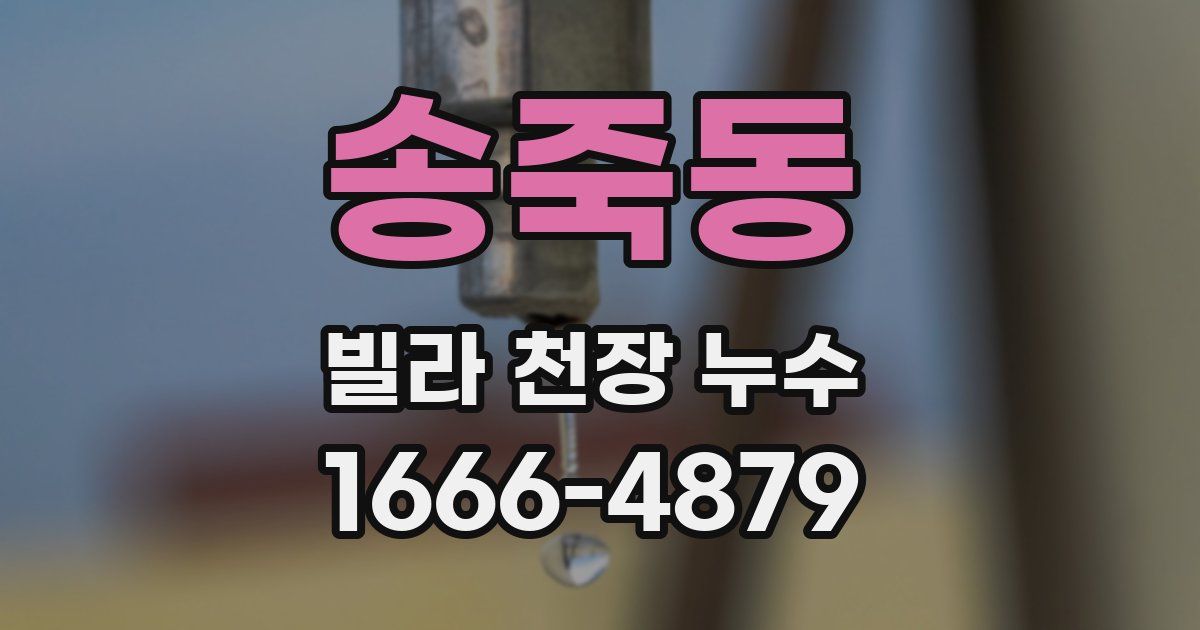 송죽동 빌라 천장 누수