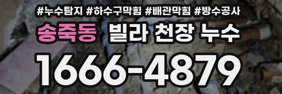 송죽동 빌라 천장 누수