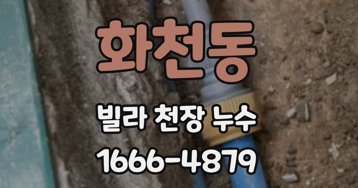 화천동 빌라 천장 누수