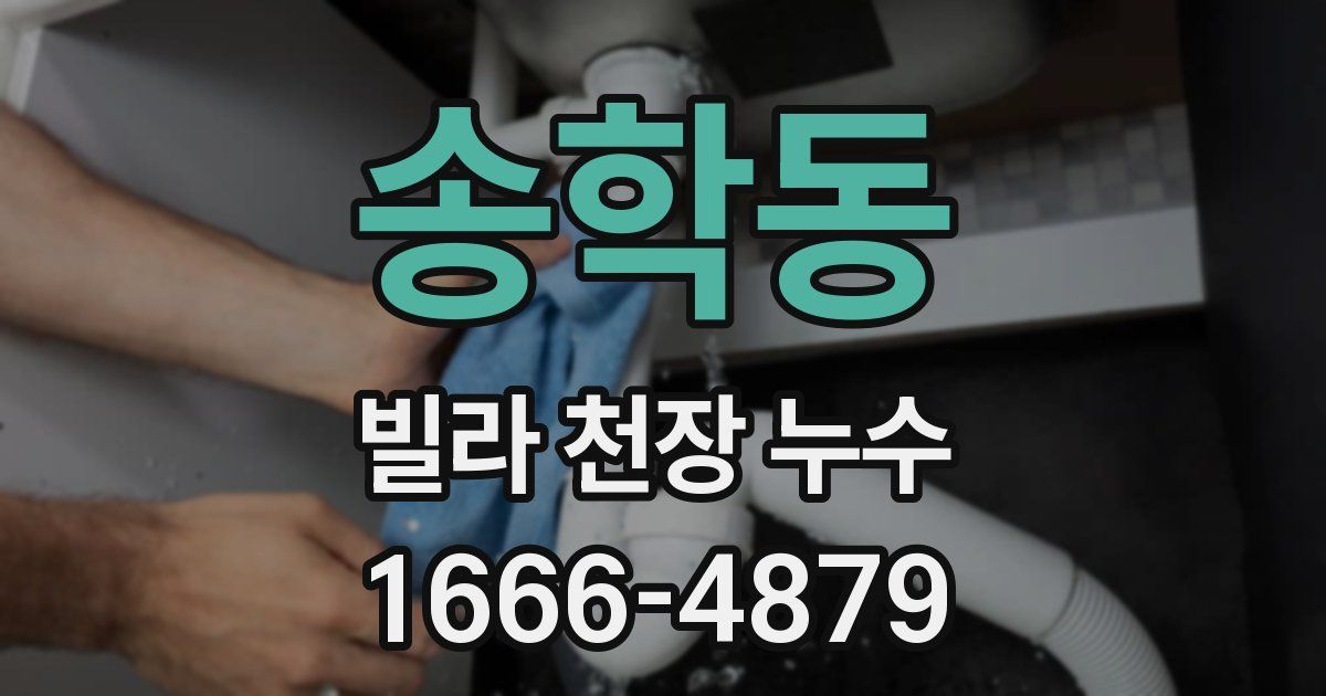 송학동 빌라 천장 누수