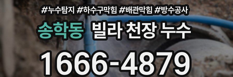 송학동 빌라 천장 누수